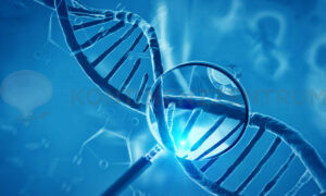 DNA Test zur Früherkennung von Prostatakrebs